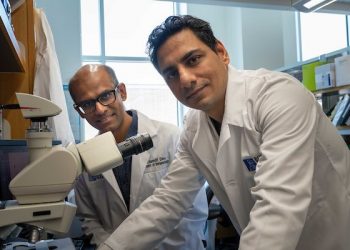 Excelsior Riders Gas Pancreatic Most cancers Analysis Excelsior Riders Gas Pancreatic Most cancers Analysis