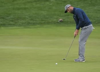 A Inexperienced Studying Pact to Save Strokes A Inexperienced Studying Pact to Save Strokes