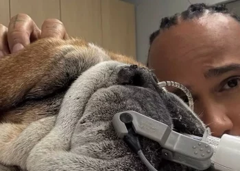 Lewis Hamilton: Roscoe well being replace after Ferrari star pulled out of Method 1 occasion