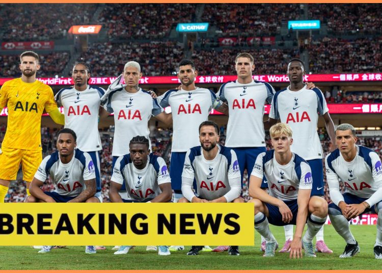 Tottenham need to signal Joao Palhinha completely