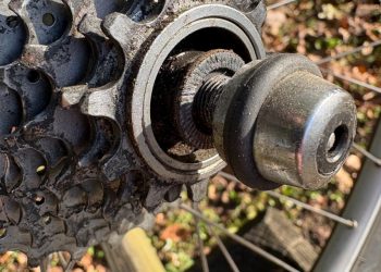 Winners And Losers – Bike Snob NYC