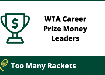 WTA Profession Prize Cash Leaders
