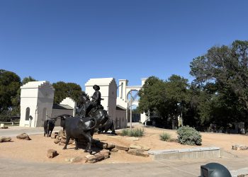 Inexperienced Pocket book from Zipperlandville – joeblogsf1